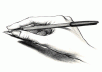 I will write high quality content for your blog 