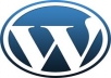 WordPress Website/Blog Setup with theme and 5 essential plugins