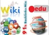 91,000 backlinks mix of wiki, social, edu and Blog comments