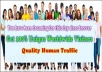 send over ★3,000★ Unique Real Human Visitors to your website with Proof of the Traffic