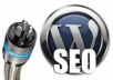 I will install Wordpress with your Theme and help Optimized your SEO with Necessary Plugins @!@