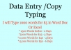 type your Scanned PDF,Photo,Image to Word,Excel and txt 1000 words
