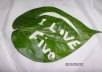 I will embose your message on the Natural Leaf
