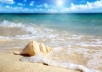 manually create meemi.com (italy) blog (PR5) for your Business with Picture and Article 