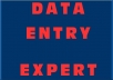 deliver all your data entry jobs in 2 days