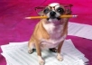  write 400+ Words Top Quality Articles On Any Niche....!!!!