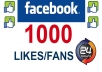add 1000 REAL Facebook Likes, Fans to your Fan Page within 24 Hours....!!!!