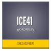 ice41