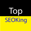 TopSeoKing