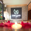 snesanspa