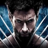 WOLVERIN