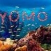 yomoore