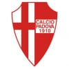 ilpapagodepoco