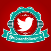 ribuanfollowers