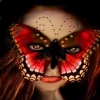 redbutterfly