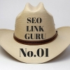 SeoLinkGuru01