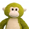 GammaMonkey