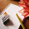 freelancer