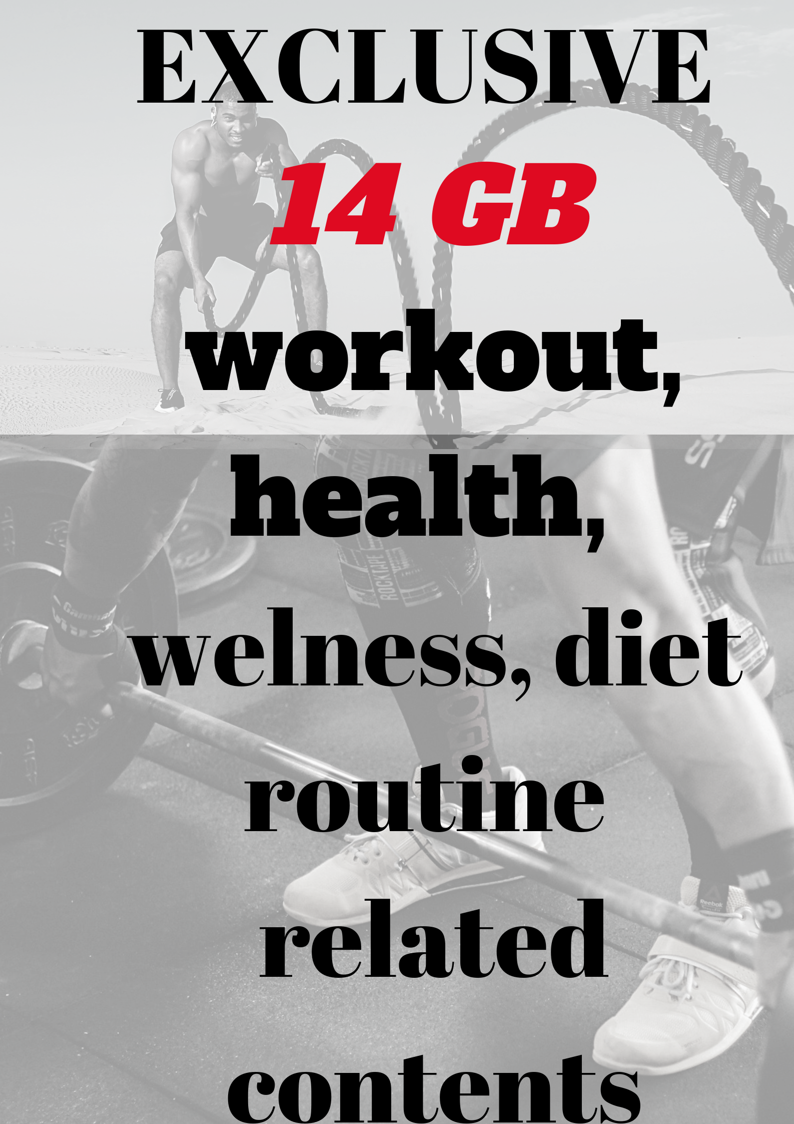 EXCLUSIVE 14 GB of workout, fitness, exercise, diet, wellness related contents 