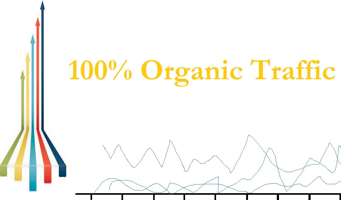 100 Percent Organic Traffic - Keyword Allowed