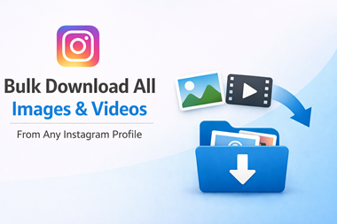 I will bulk download and export all images and videos from any Instagram profile