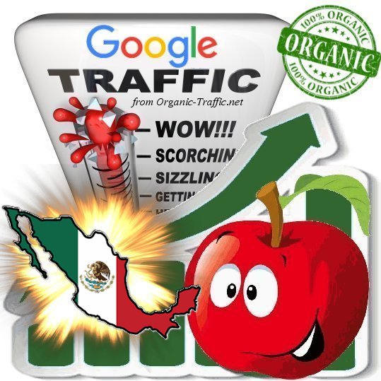 Mexican Search Traffic from Google.com.mx with your Keywords