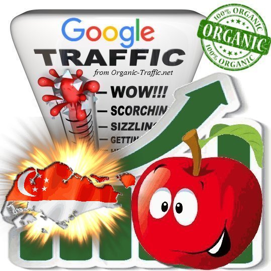 Singaporean Search Traffic from Google.com.sg with your Keywords