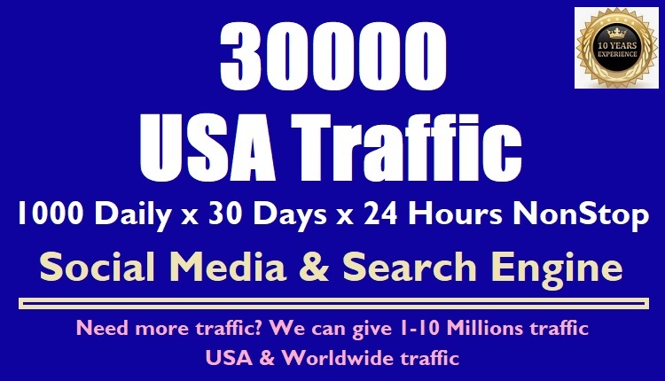 1000 Daily Real Web Traffic from USA to website