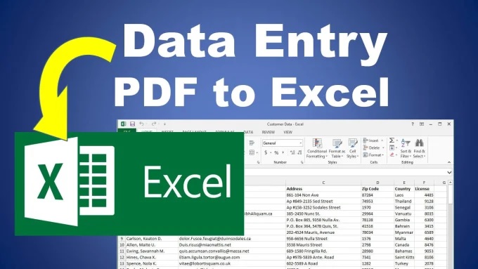 I will do data entry from PDF file to excel