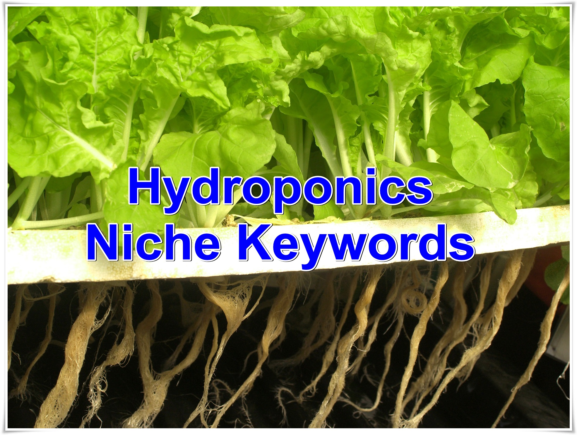 Niche keywords research Hydroponics 2019 Instant Download