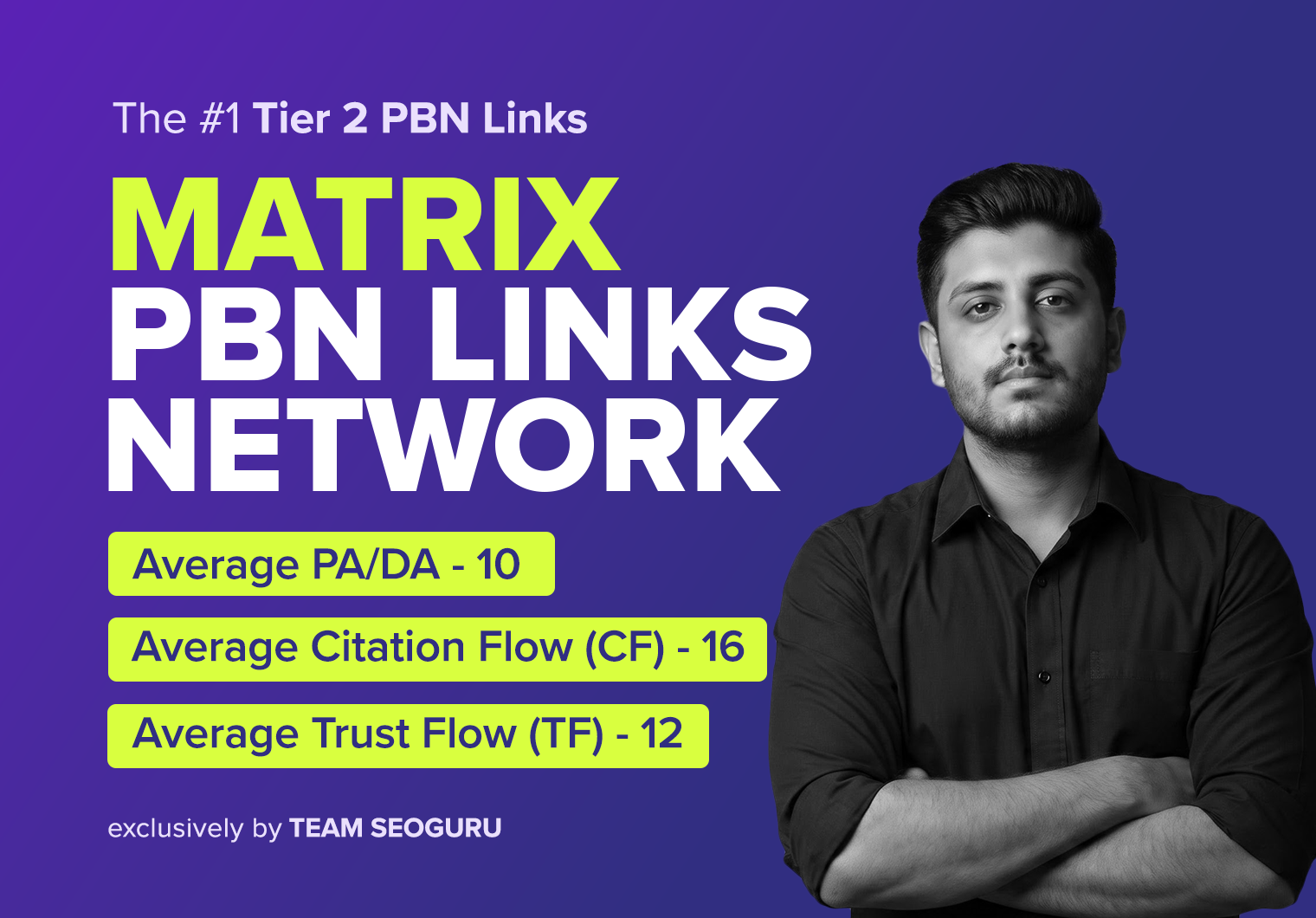MATRIX PBN Network - 250 PBN Posts - The Best Tier 2 PBN Links