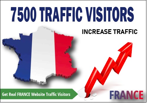 7500 Real FRANCE Website Traffic Visitors