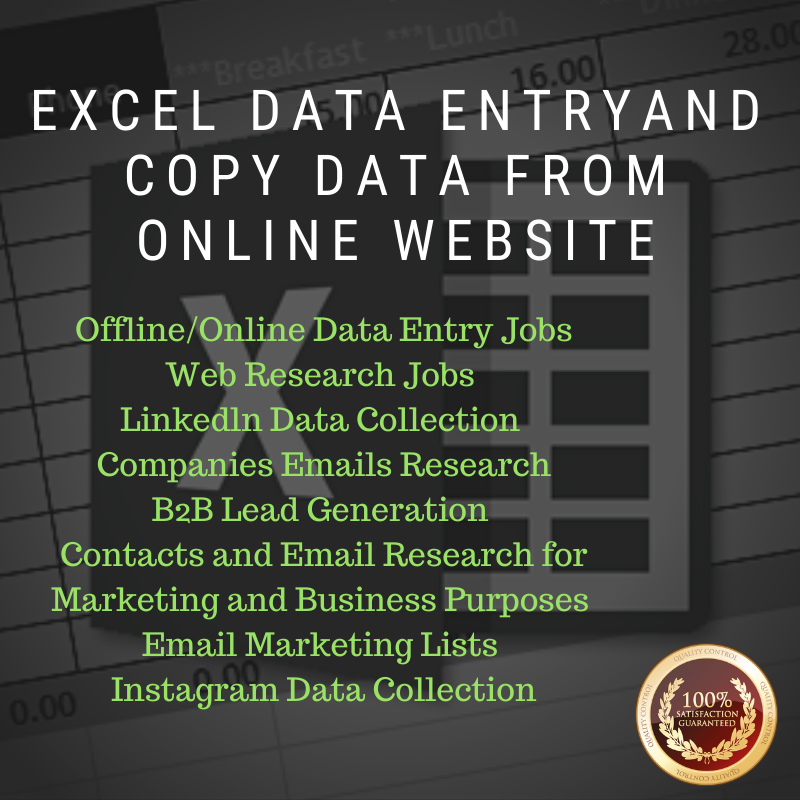 Excel Data Entry And Copy Data From Online Websites 