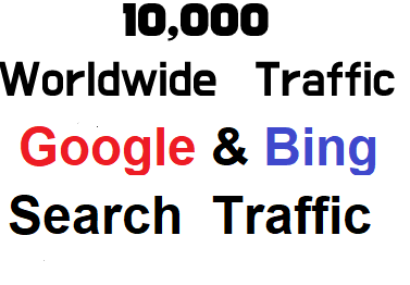 10,000 + Worldwide web traffic from Major Search Engine