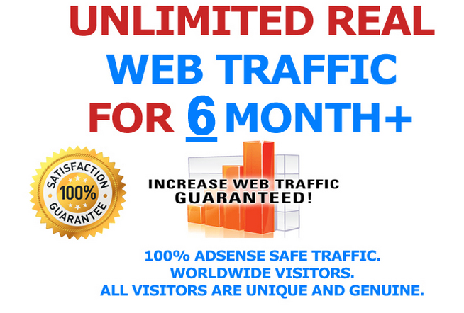 6 MONTH Unlimited Keyword Targeted Real Unique Visitors Traffic to Website