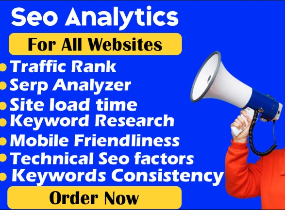 I will Analyze your website issues and deliver Seo analyzer report within 1 Day