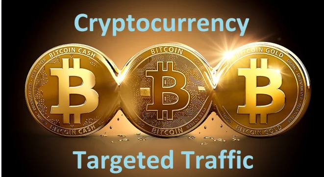 60 Days Unlimited USA Targeted Organic Crypto Currency Bitcoin Website Visitors