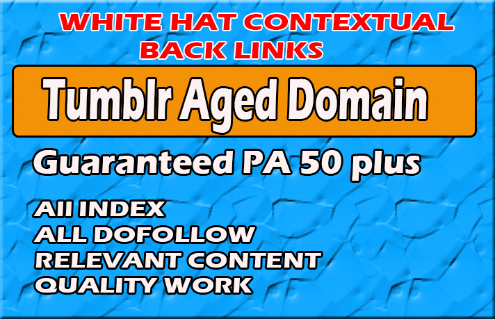 I will do dofollow tumblr aged domain white hat contextual seo backlinks