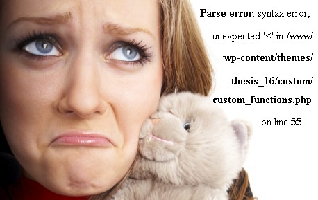 Edit or Customize and Fix Errors of wordpress website