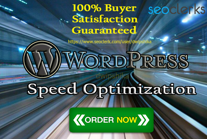I will increase wordpress speed optimization with gtmetrix and google pagespeed 