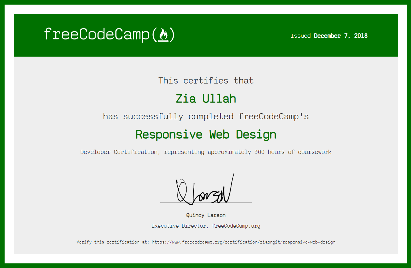 I will optimize your company website with SEO