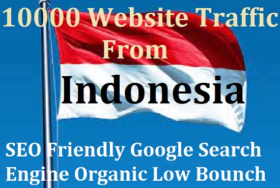 Daily 200-300 Visitors From Indonesia 30 Days SEO Google Web Traffic