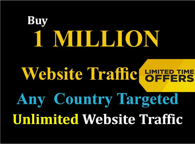 1 Million Organic Worldwide niche targeted website tr...