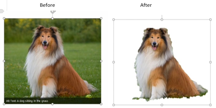 Get your Background Removal for any picture you want. 