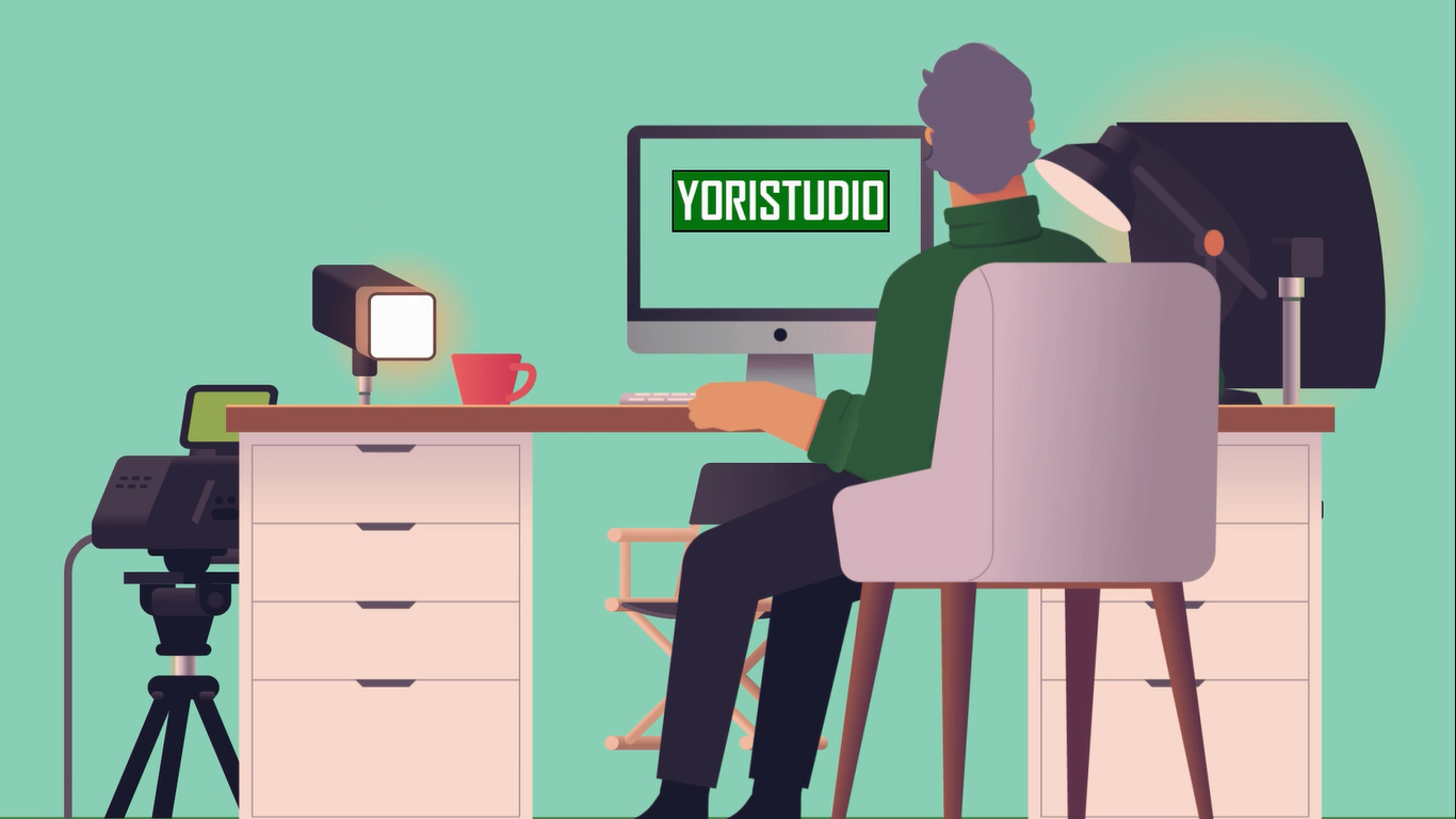 I will create professional 2d animated explainers video