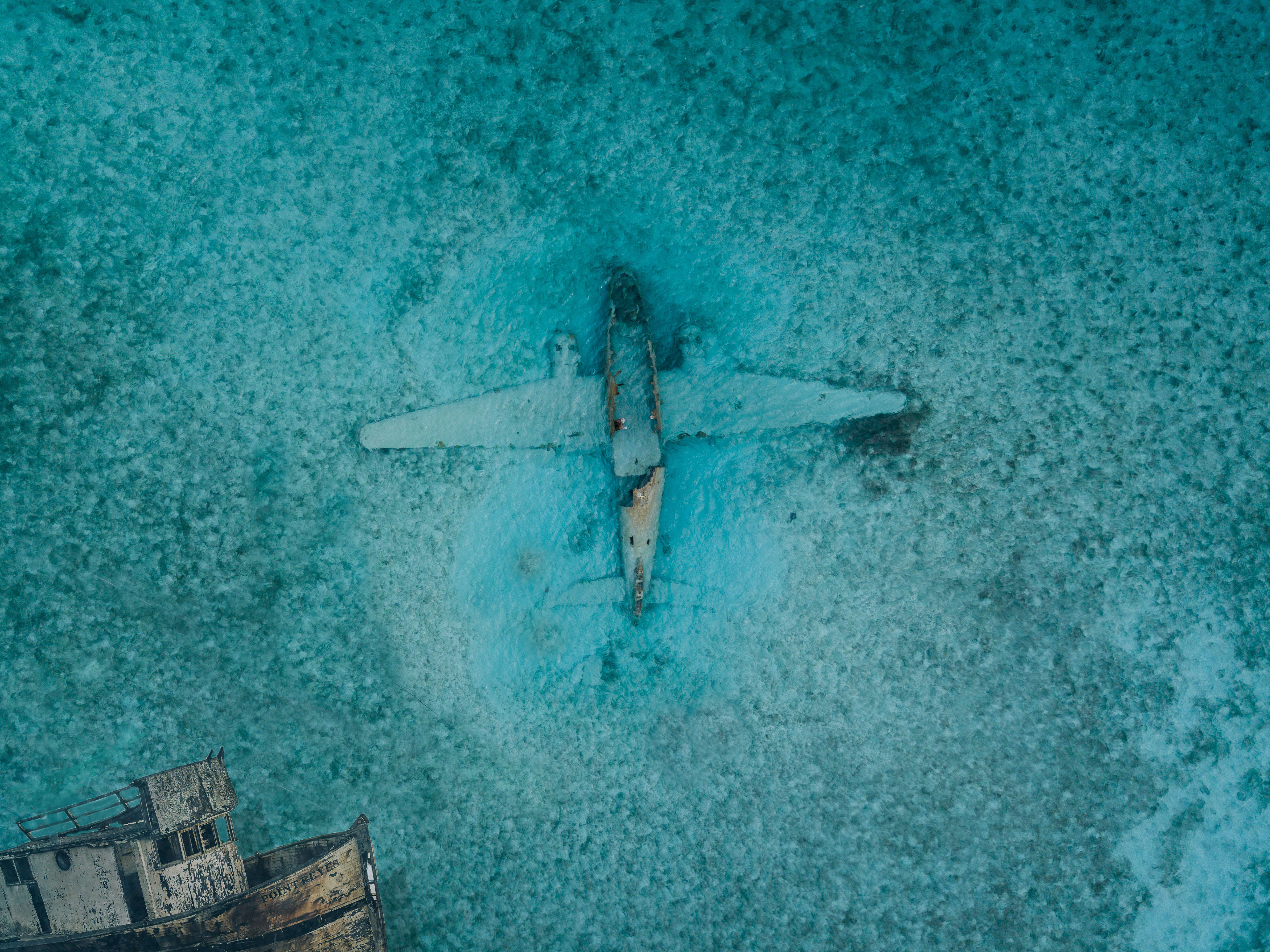 create logos , brochure , billboard , business cards , flyer 