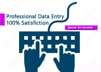 I will do any kind of data entry work of your business or Company