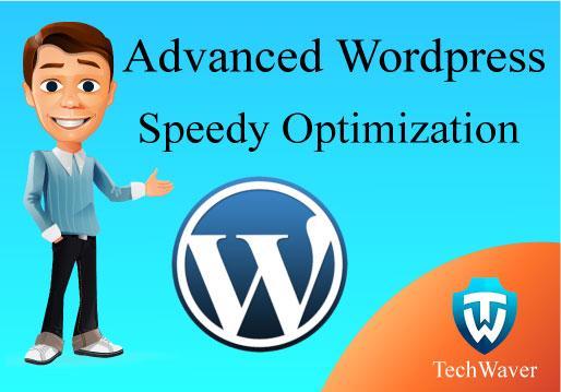 Advanced Wordpress Speedy Optimization within 24 hours