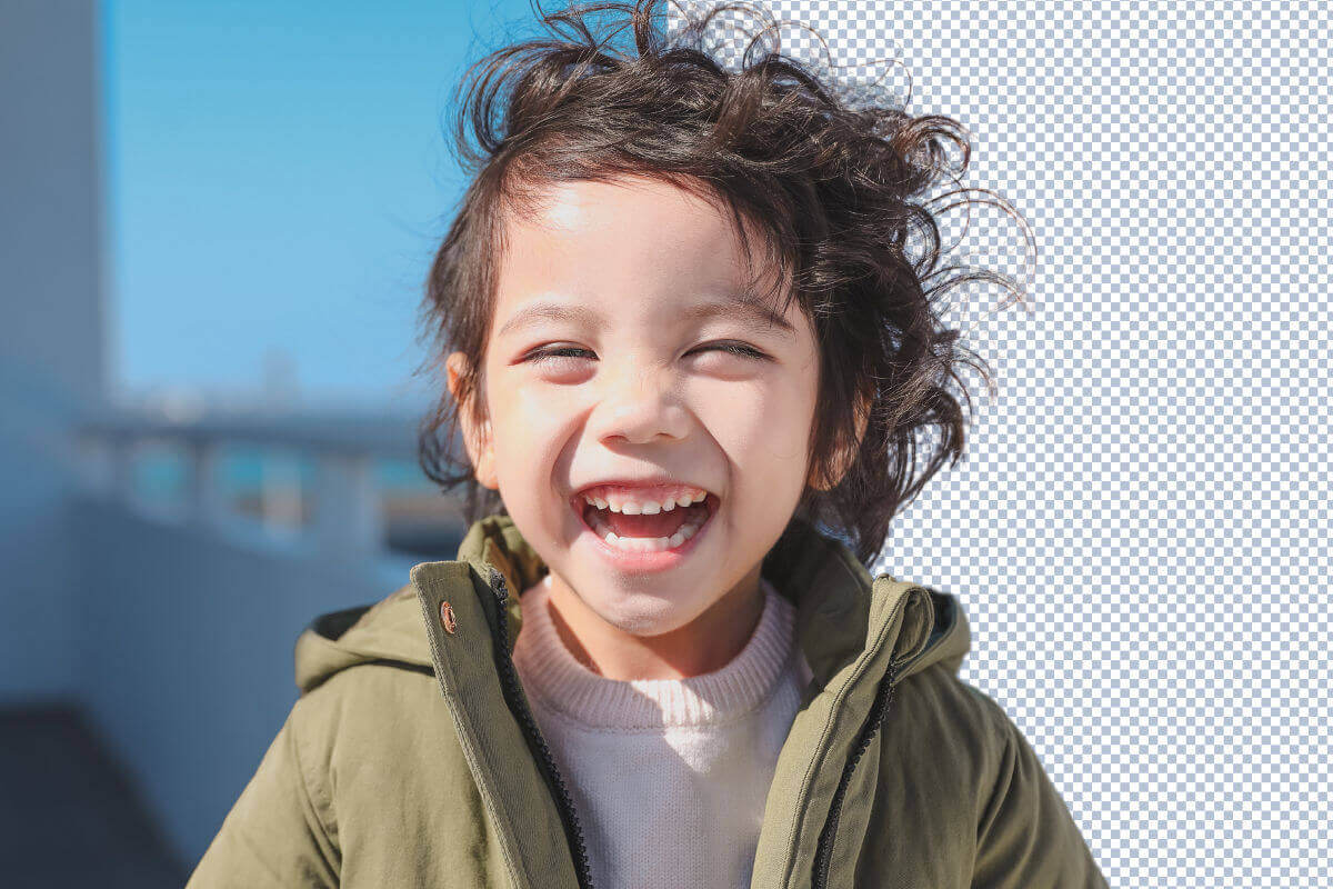 Remove Background of any image With Detailing. 