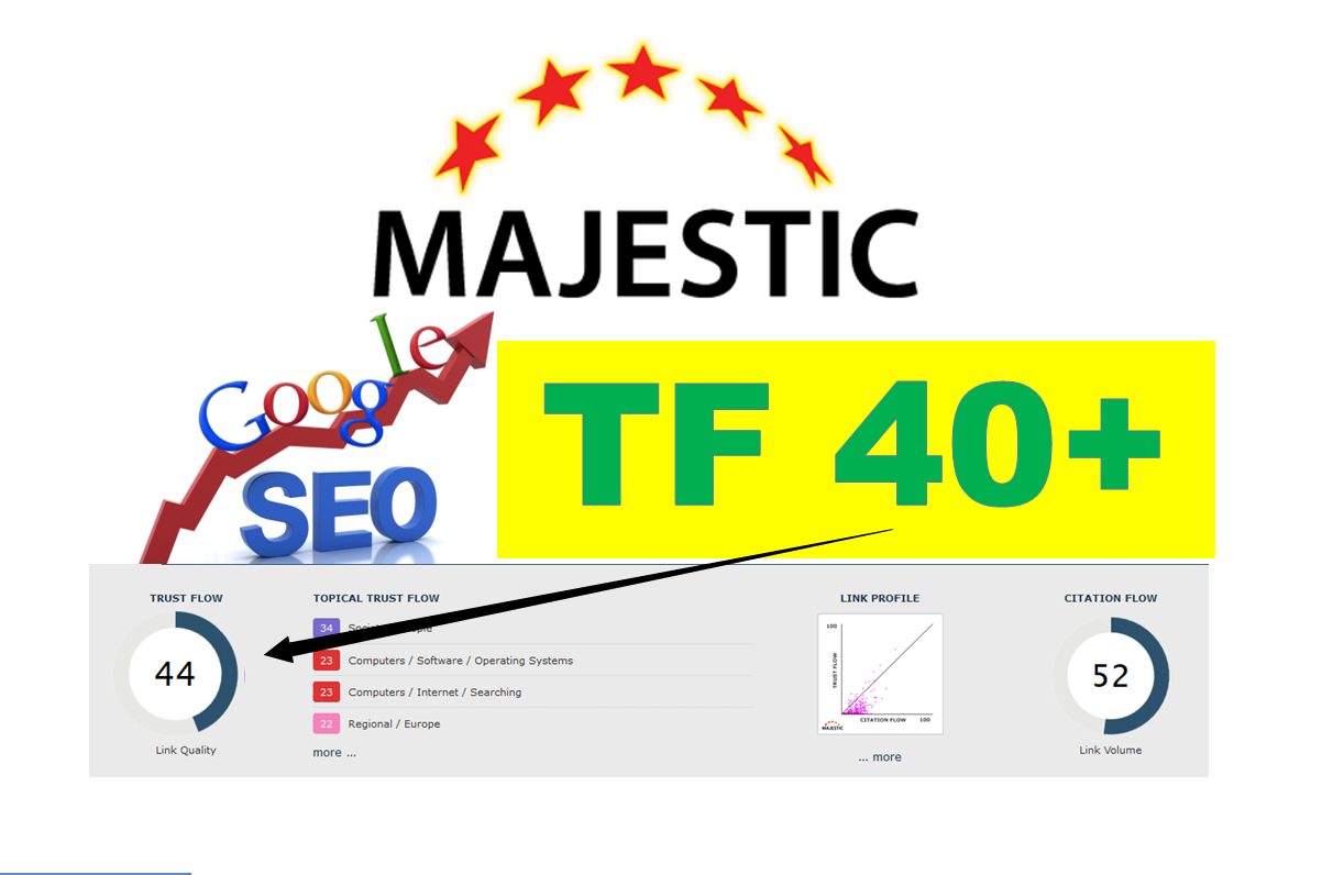 I will create 80 permanent high tf dofollow links, Majestic Trust Flow Backlinks
